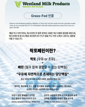 Load image into Gallery viewer, 담은수 단업