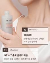 Load image into Gallery viewer, Lenete1964 르네뜨1964 콜라겐생성 앰플&크림 (세트가능)