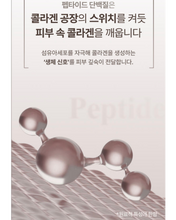 Load image into Gallery viewer, Lenete1964 르네뜨1964 콜라겐생성 앰플&크림 (세트가능)