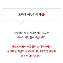 Load image into Gallery viewer, Purunong Annurca in Moccame 푸르농 아누카사과 15개입