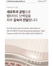 Load image into Gallery viewer, Lenete1964 르네뜨1964 콜라겐생성 앰플&크림 (세트가능)