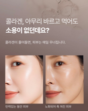 Load image into Gallery viewer, Lenete1964 르네뜨1964 콜라겐생성 앰플&크림 (세트가능)