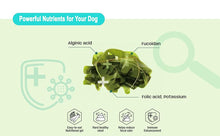 Load image into Gallery viewer, (๐ฅ๋ธํ์ธ์ผ๐ฅ 10๋ถ์ํ๋ณต) Fabrechew Fuco 051 ํ๋ธ๋ฅด์ธ ํ์ฝ์ด๋จ ์ ค๋ฆฌ