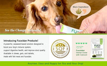 Load image into Gallery viewer, (๐ฅ๋ธํ์ธ์ผ๐ฅ 10๋ถ์ํ๋ณต) Fabrechew Fuco 051 ํ๋ธ๋ฅด์ธ ํ์ฝ์ด๋จ ์ ค๋ฆฌ