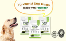 Load image into Gallery viewer, (๐ฅ๋ธํ์ธ์ผ๐ฅ 10๋ถ์ํ๋ณต) Fabrechew Fuco 051 ํ๋ธ๋ฅด์ธ ํ์ฝ์ด๋จ ์ ค๋ฆฌ