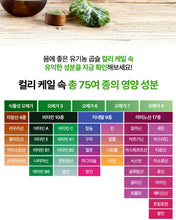 Load image into Gallery viewer, Fitany Organic Curly Kale100 피타니 유기농 컬리케일100
