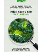 Load image into Gallery viewer, Fitany Organic Curly Kale100 피타니 유기농 컬리케일100