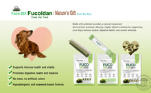 Load image into Gallery viewer, (๐ฅ๋ธํ์ธ์ผ๐ฅ 10๋ถ์ํ๋ณต) Fabrechew Fuco 051 ํ๋ธ๋ฅด์ธ ํ์ฝ์ด๋จ ์ ค๋ฆฌ