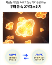 Load image into Gallery viewer, Fitany Wegobelean 피타니 위고베린 28정