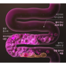 Load image into Gallery viewer, Foodology Psyllium Huskology 푸드올로지 차전자피올로지 20포 (3+1프로모션)