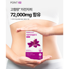 Load image into Gallery viewer, Foodology Psyllium Huskology 푸드올로지 차전자피올로지 20포 (3+1프로모션)