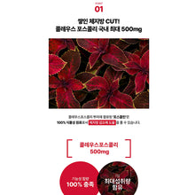 Load image into Gallery viewer, Foodology Coleology Tea Diet Watermix 푸드올로지 콜레올로지 티 다이어트 워터믹스 15포 (3+1프로모션)