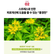 Load image into Gallery viewer, Foodology Coleology Diet Supplement 푸드올로지 콜레올로지 컷 다이어트 케어 60정 (3+1프로모션)