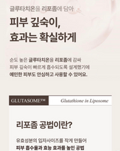 Load image into Gallery viewer, Lenete1964 르네뜨1964 콜라겐생성 앰플&amp;크림 (세트가능)
