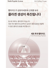 Load image into Gallery viewer, Lenete1964 르네뜨1964 콜라겐생성 앰플&amp;크림 (세트가능)
