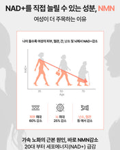 Load image into Gallery viewer, Fitany Ever NMN 피타니 에버 NMN
