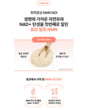 Load image into Gallery viewer, Fitany Ever NMN 피타니 에버 NMN
