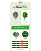 Load image into Gallery viewer, Fitany Organic Curly Kale100 피타니 유기농 컬리케일100
